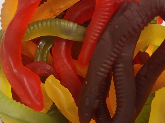 Picture of Snakes Alive