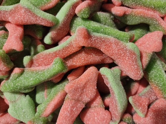 Picture of Watermelon Shark